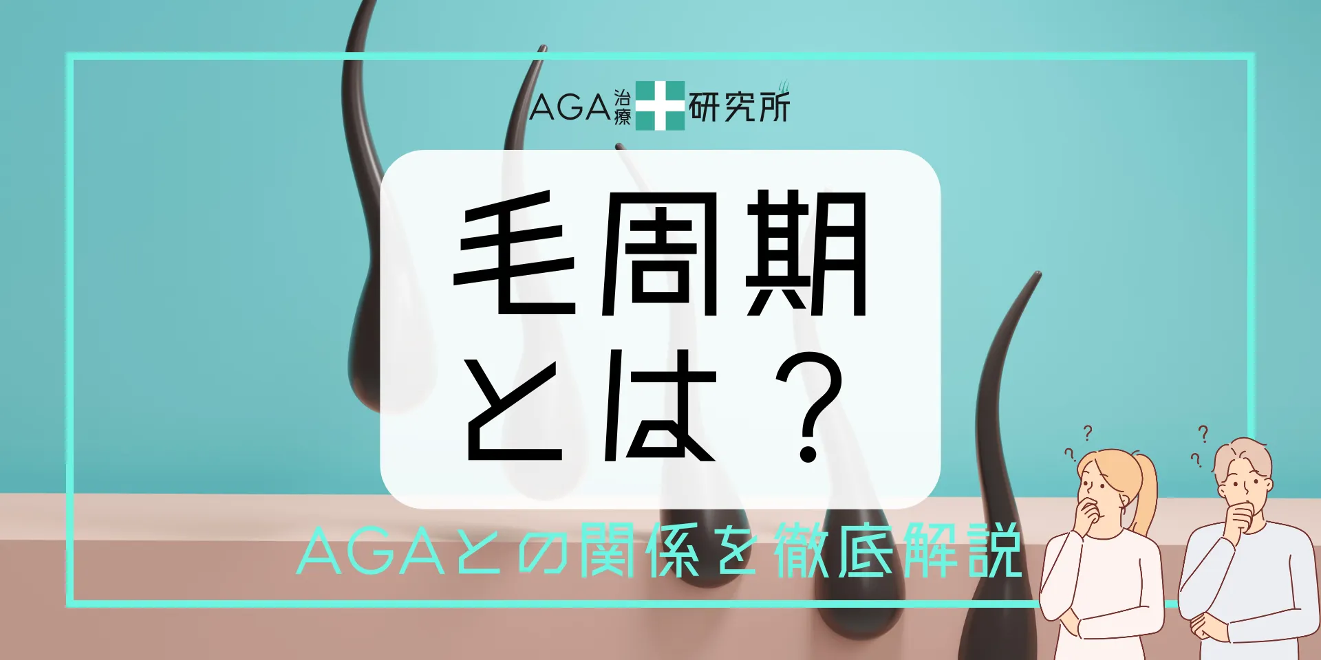 毛周期（ヘアサイクル）を徹底解説！AGAとの関係とヘアサイクルを正常にする方法とは？