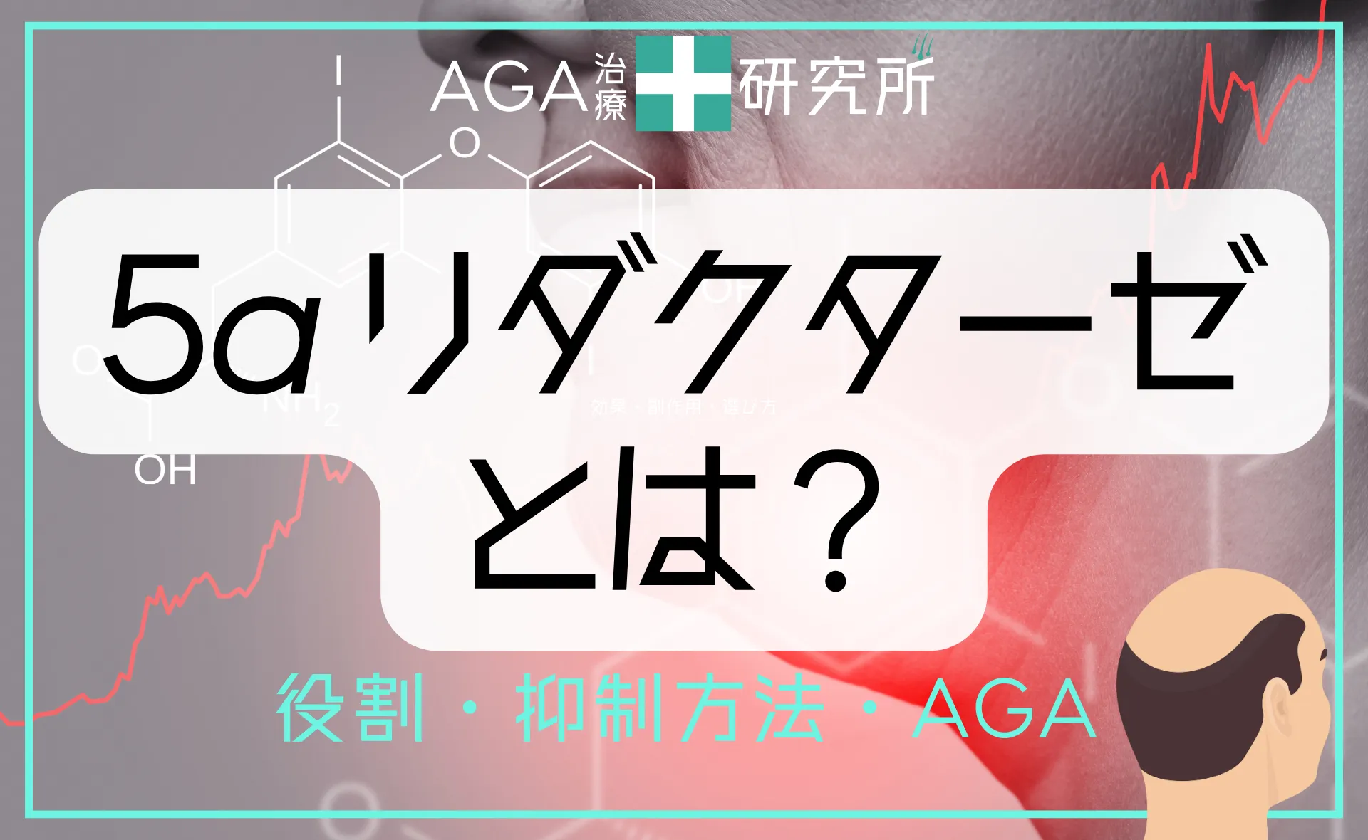 5αリダクターゼとは？役割・抑制方法・AGAとの関係を徹底解説！